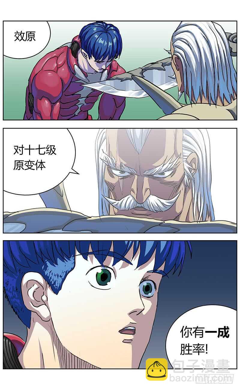 316诱饵4