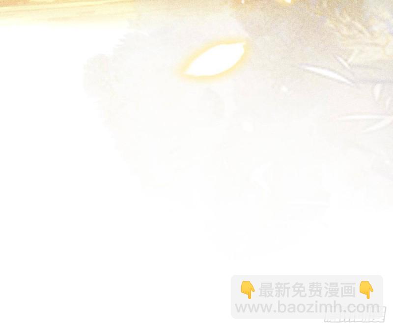 第158话 容恬中计！38