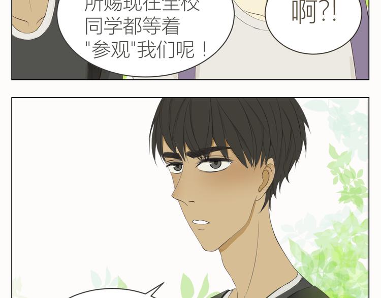第13话 让我来守护你！20