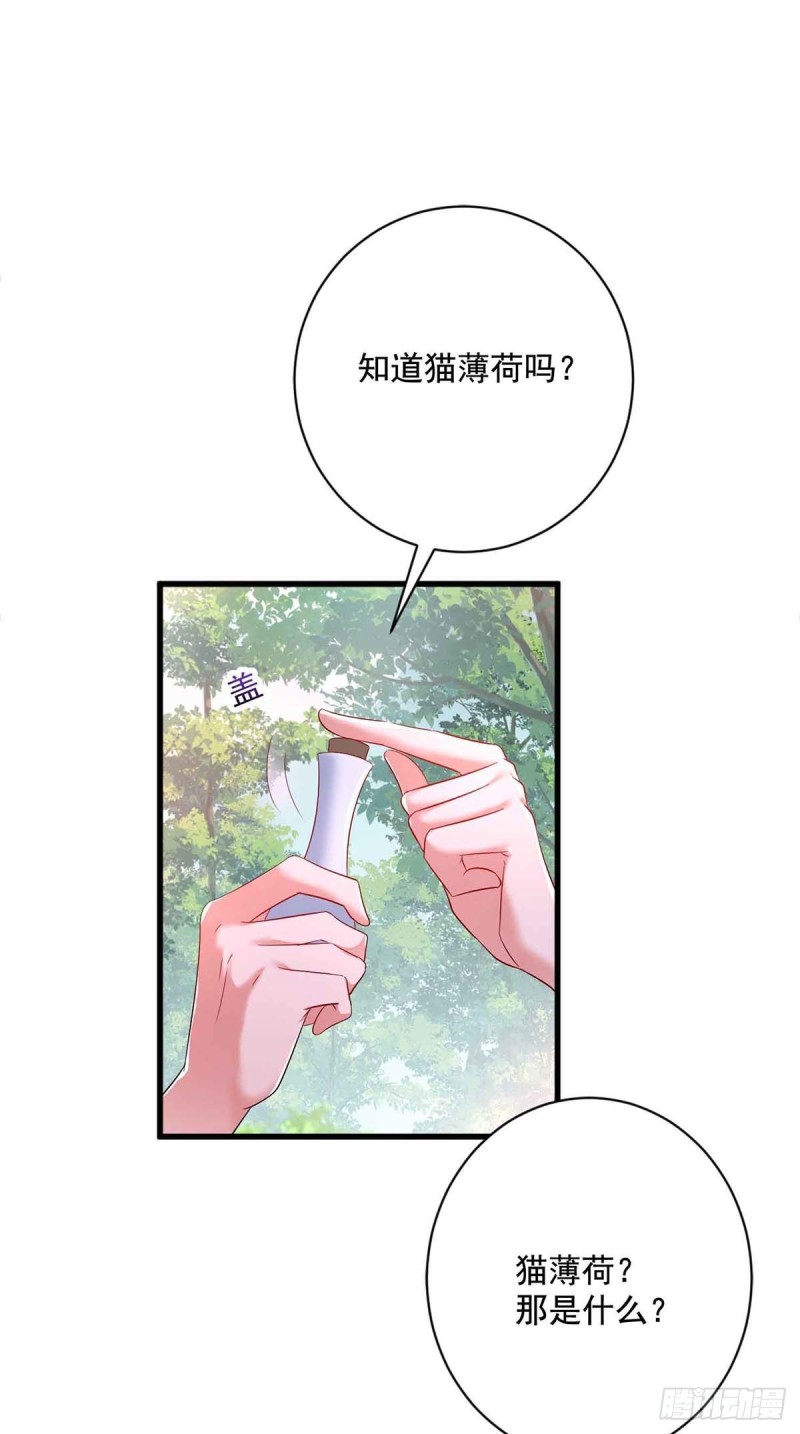 第109话 二级灵兽0