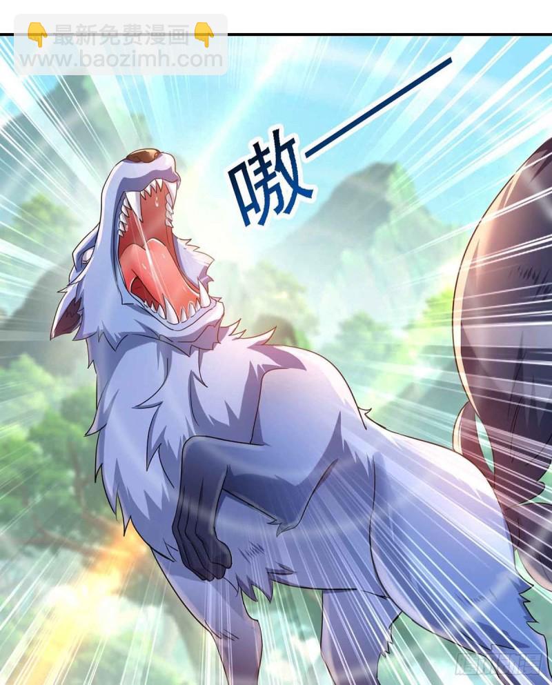 第109话 二级灵兽27