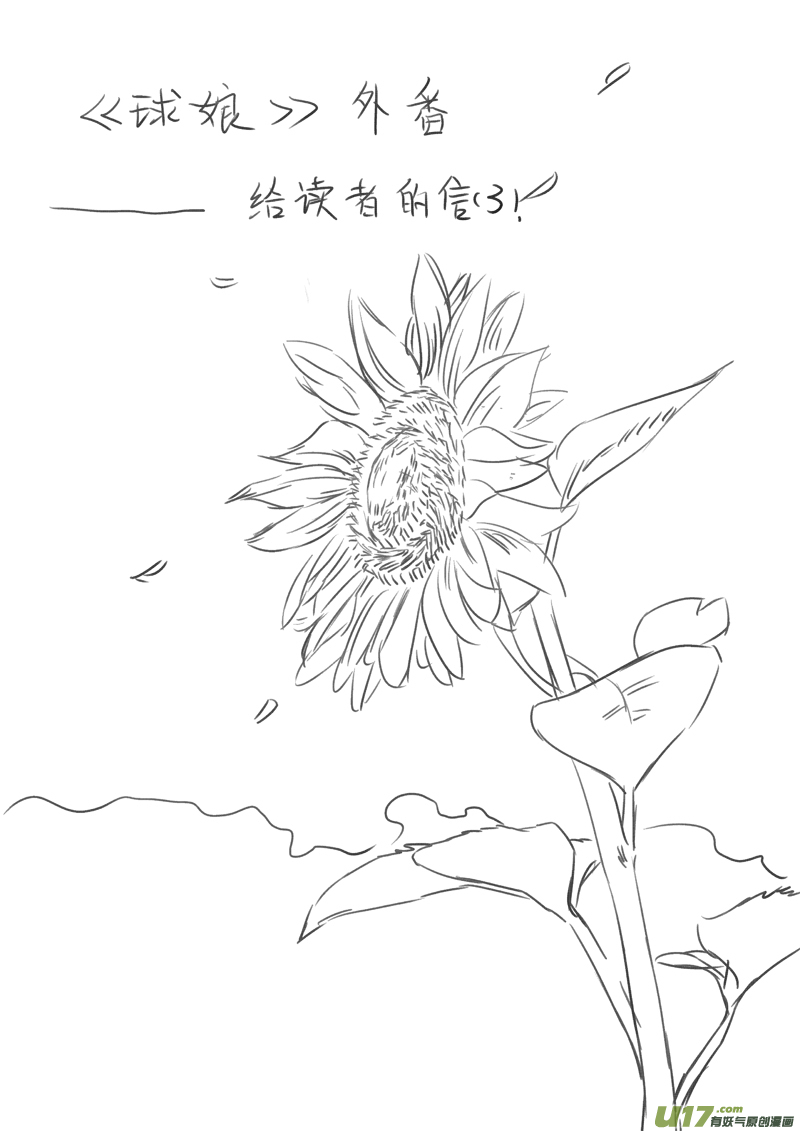 给读者的信30