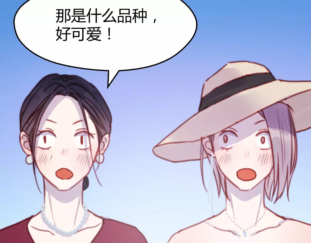 番外：最宠爱宠物的人11
