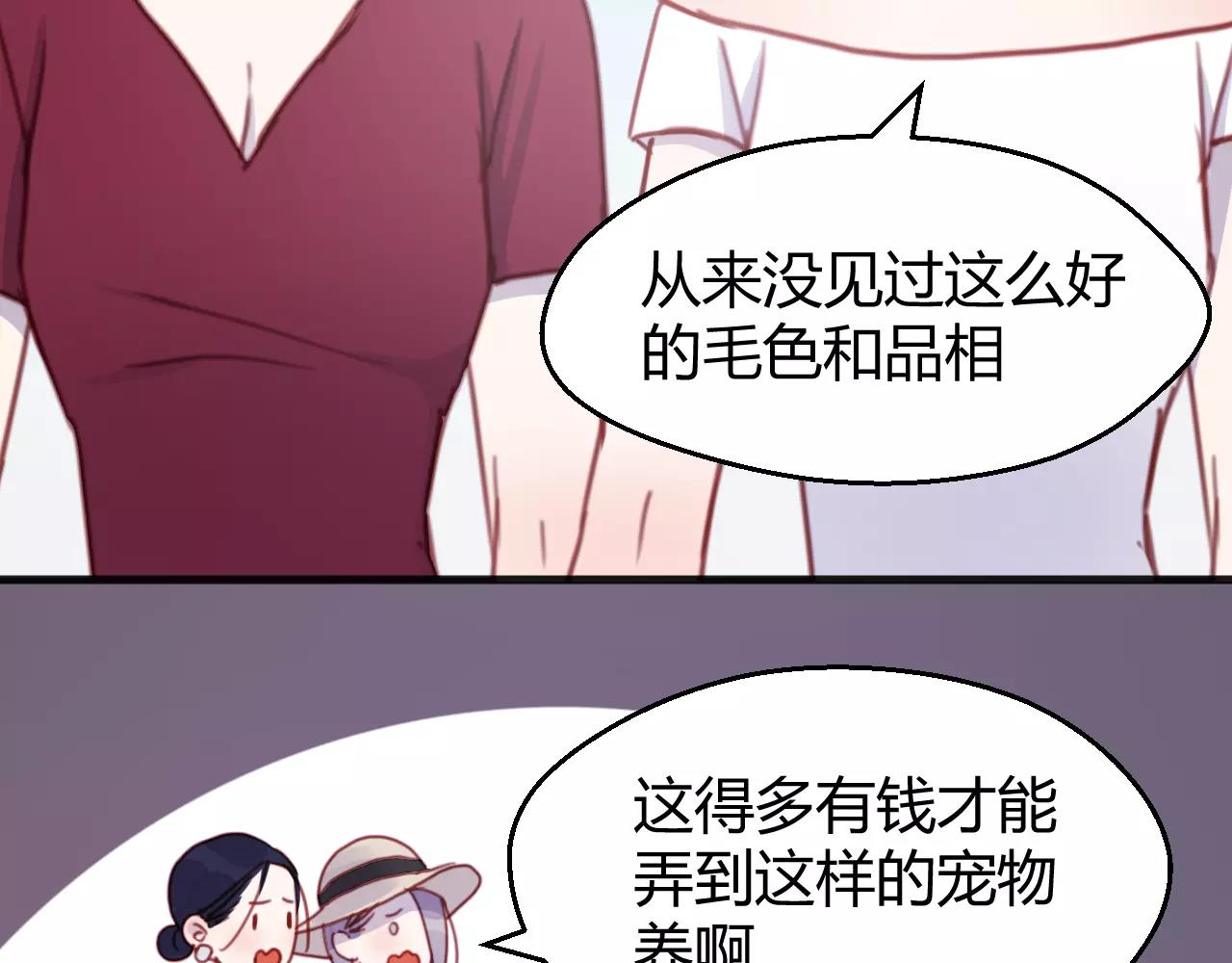 番外：最宠爱宠物的人12
