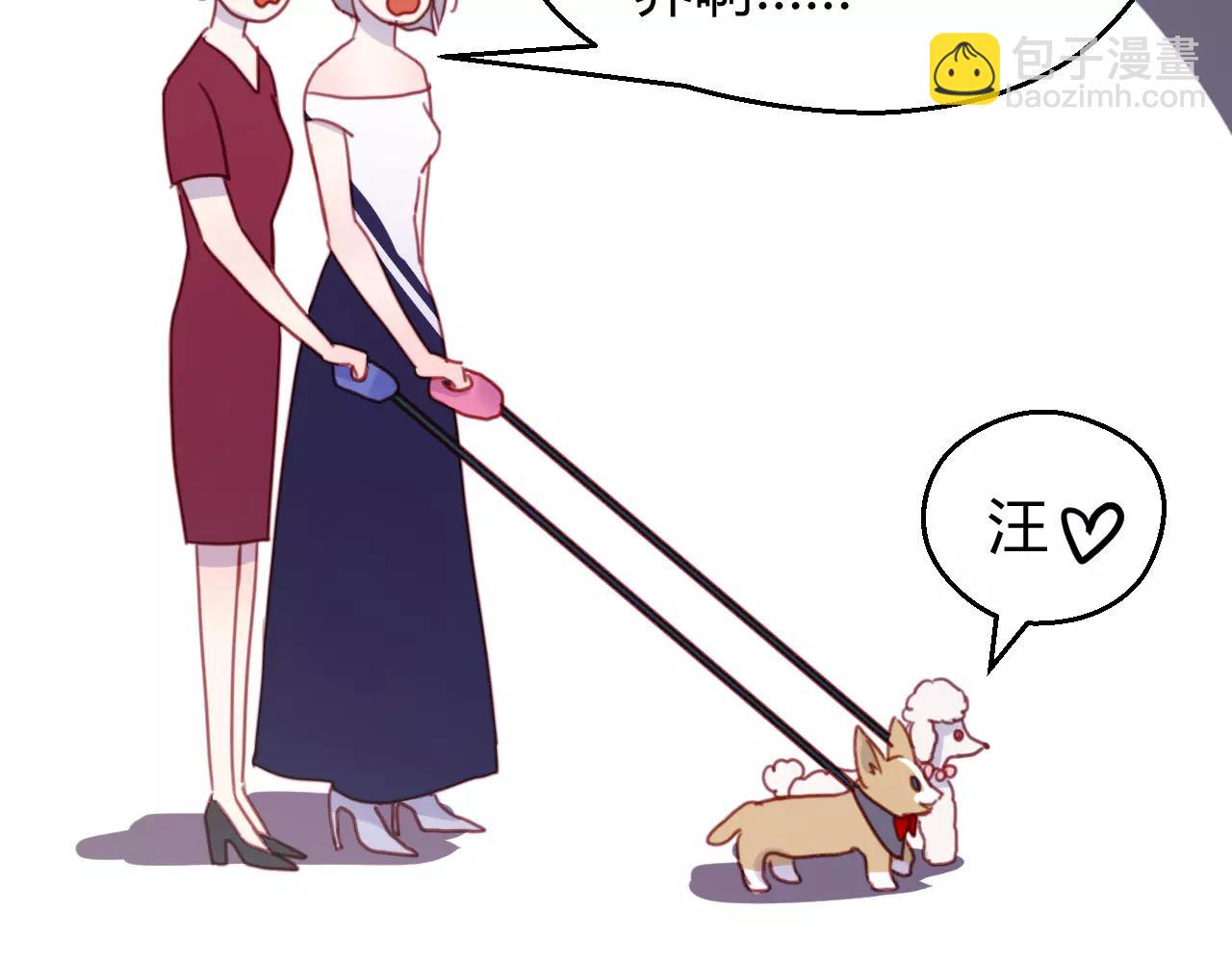 番外：最宠爱宠物的人13