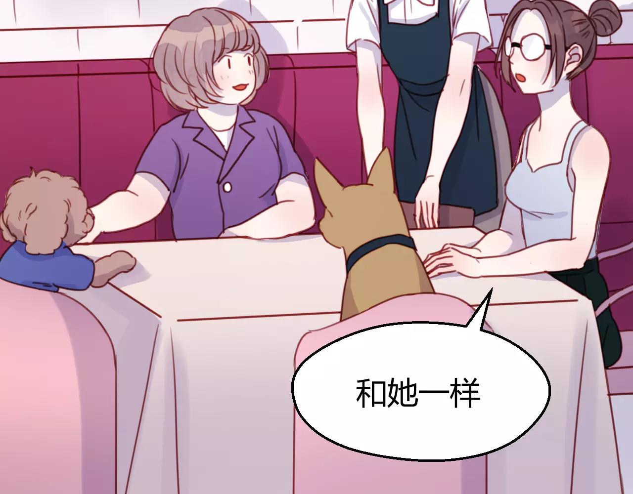 番外：最宠爱宠物的人17