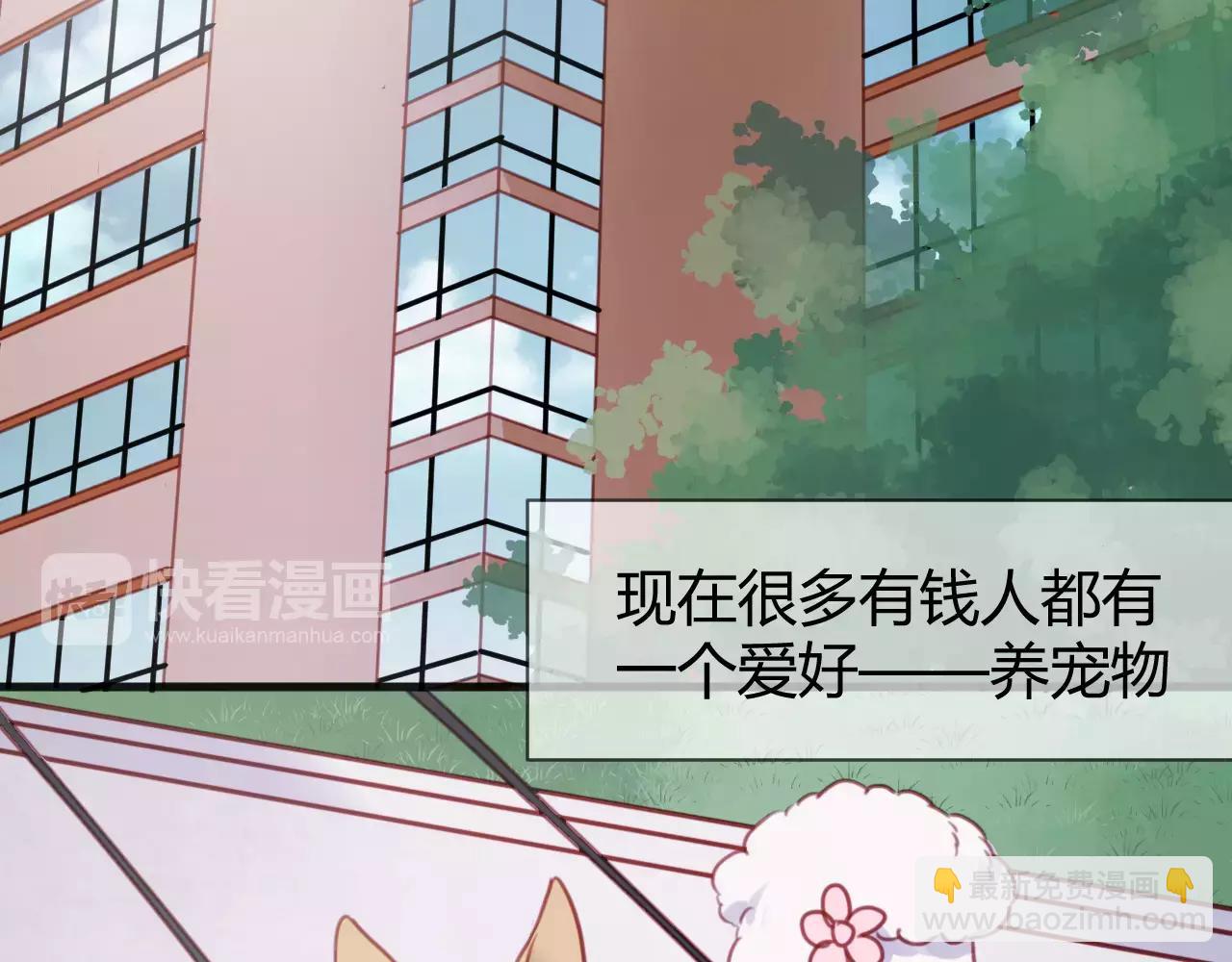 番外：最宠爱宠物的人2