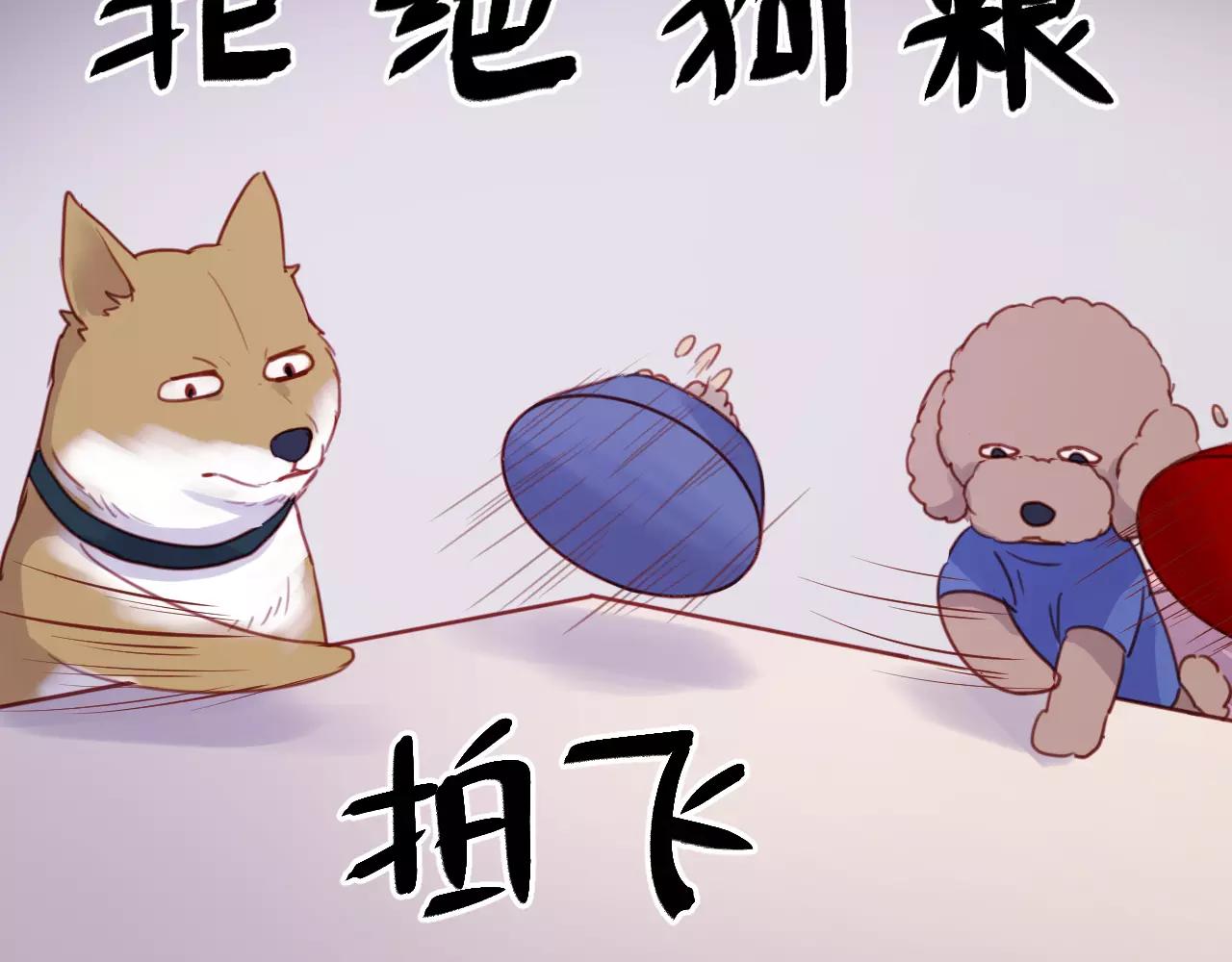 番外：最宠爱宠物的人27