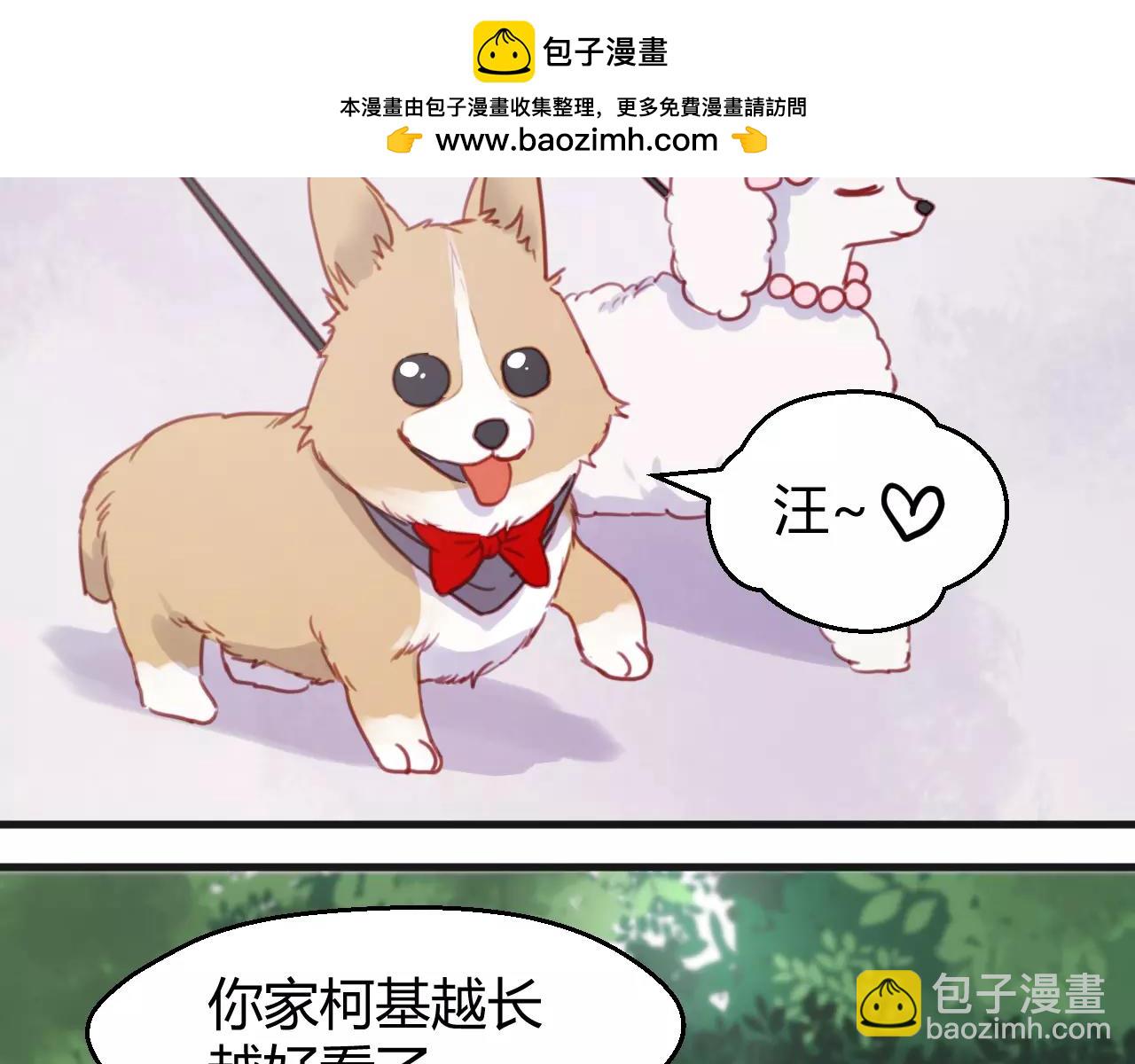 番外：最宠爱宠物的人3