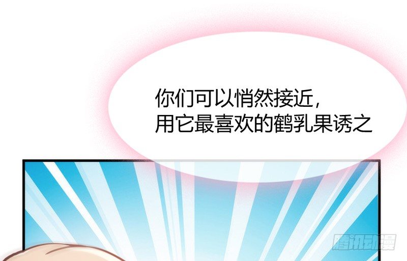 月夜浪漫，想和你一起亡命天涯！43
