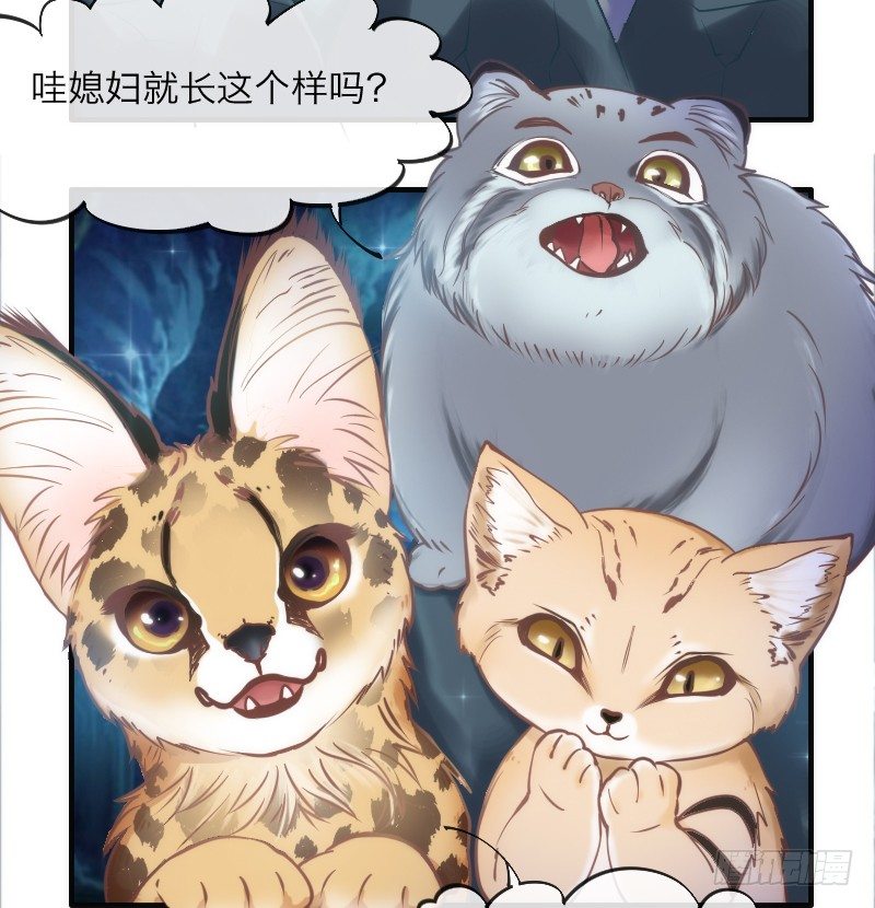 你哭着求我，我也不会把她还给你！16