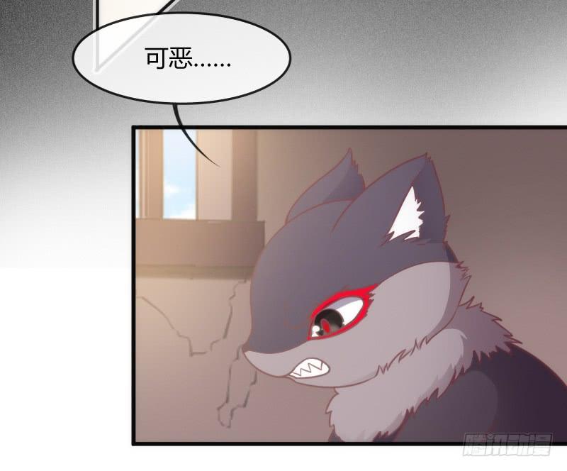为何我的心，会如此之痛？41