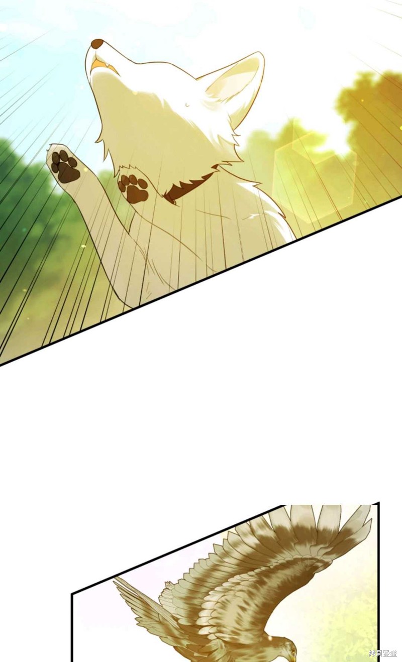 第13话24
