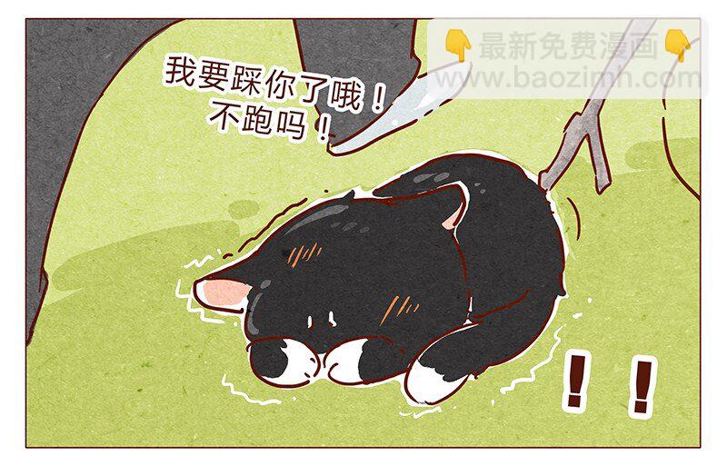第74话 是不是所有人都讨厌我？8