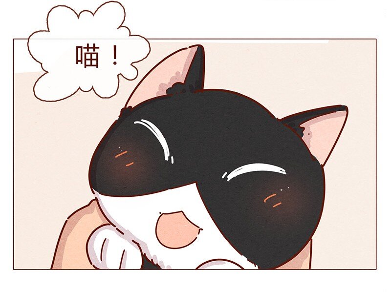 196话 你有别的猫！10