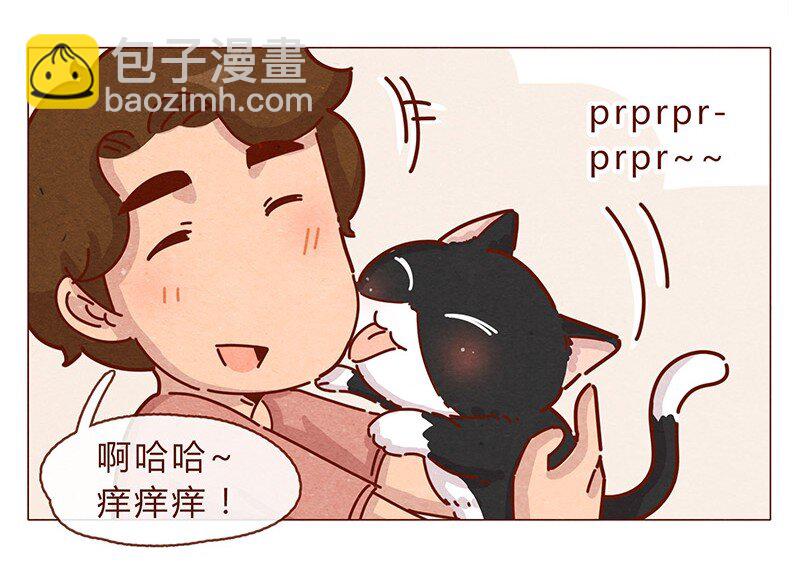 196话 你有别的猫！11