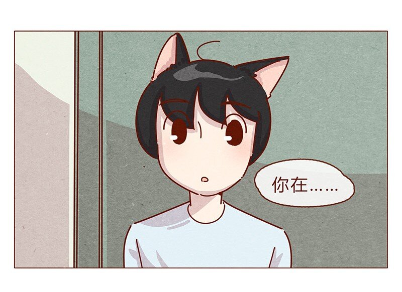 196话 你有别的猫！14