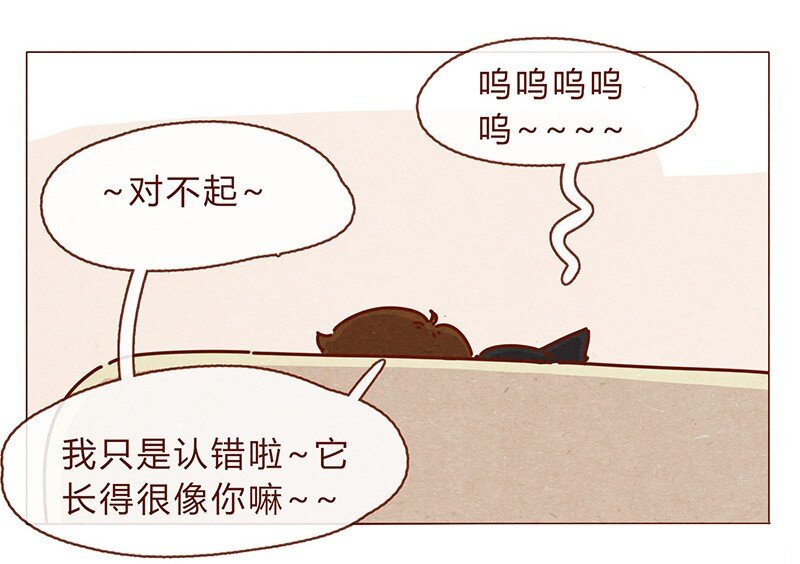 196话 你有别的猫！18