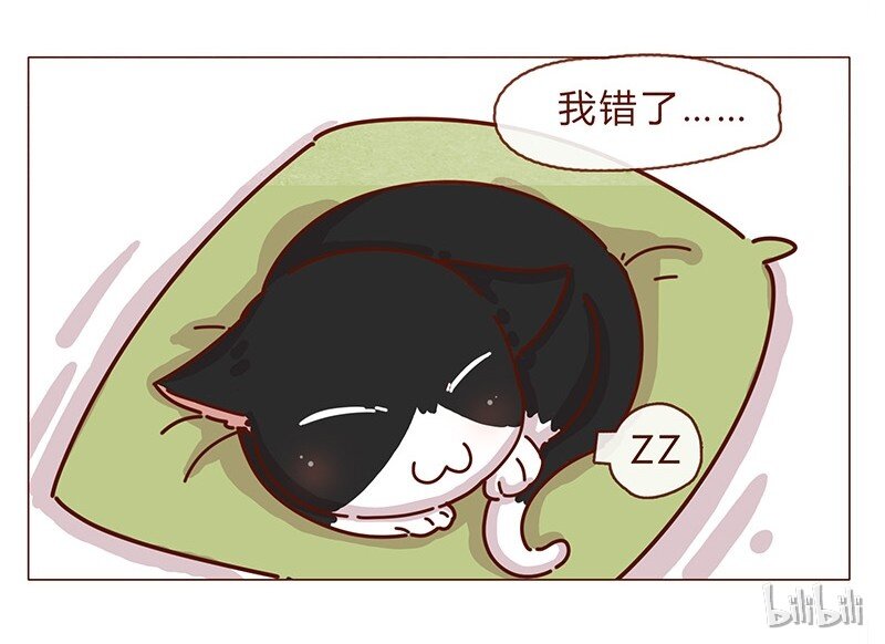 196话 你有别的猫！20