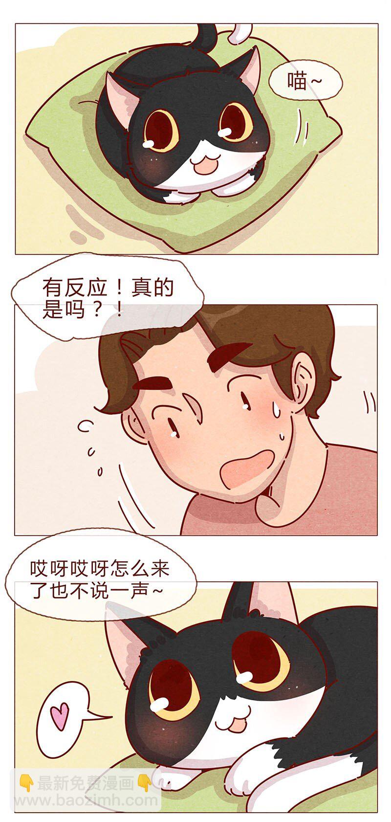 197话 你举着个胖次做什么5