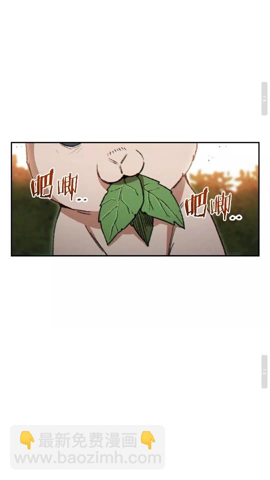 第37话 兔子的史诗技能！40