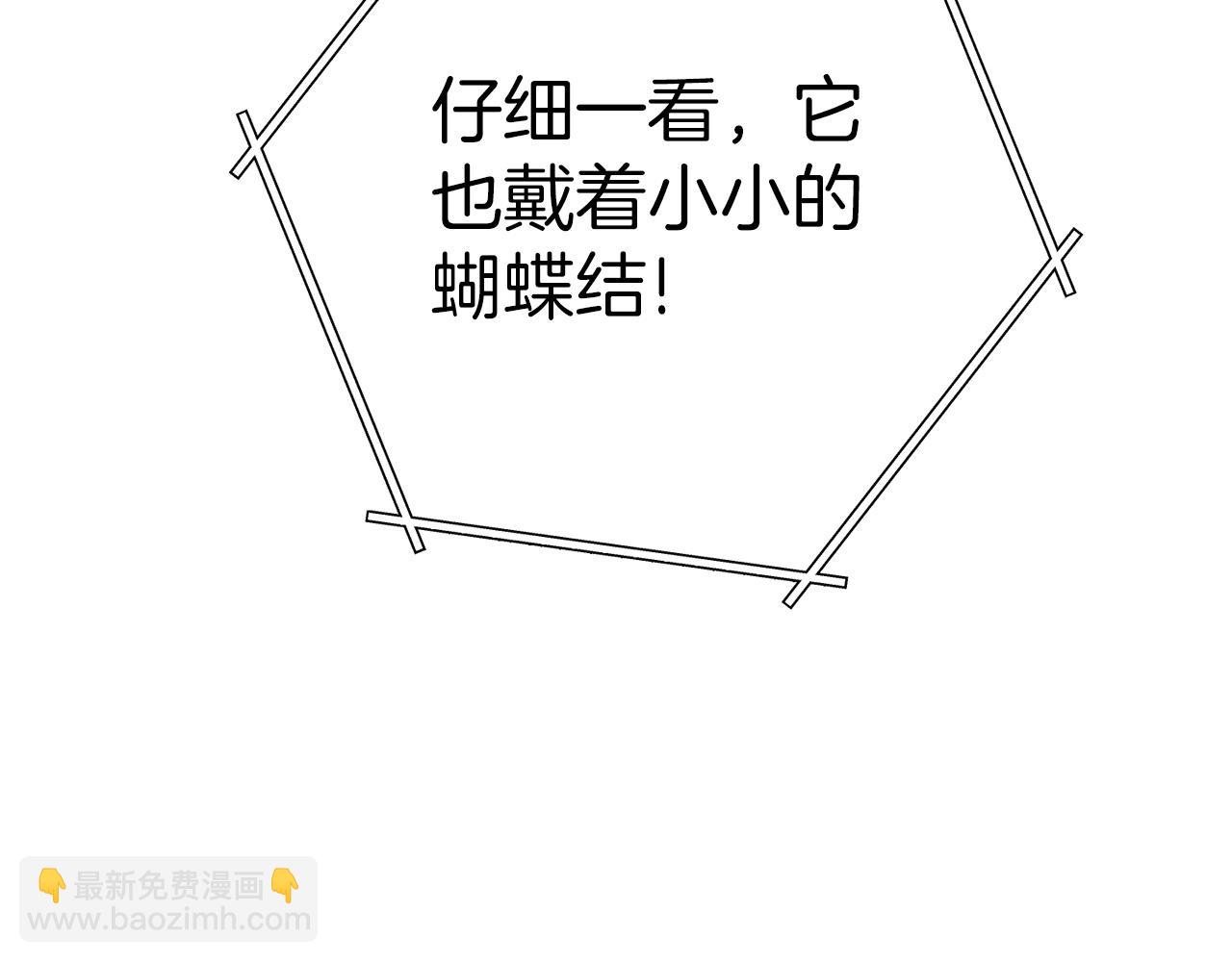 第129话 身世成谜的兔子61
