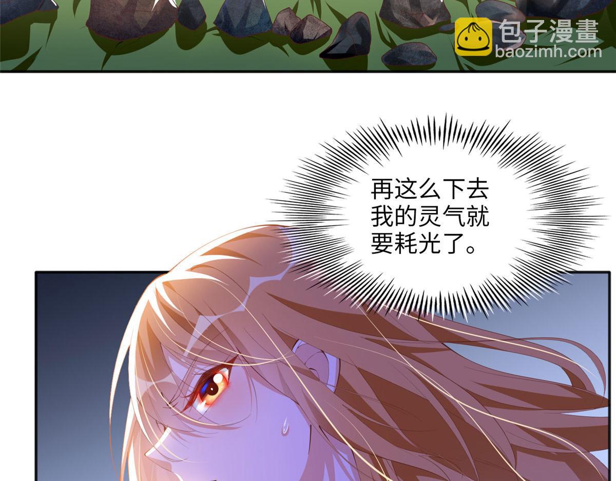019 赌石大会来了！10
