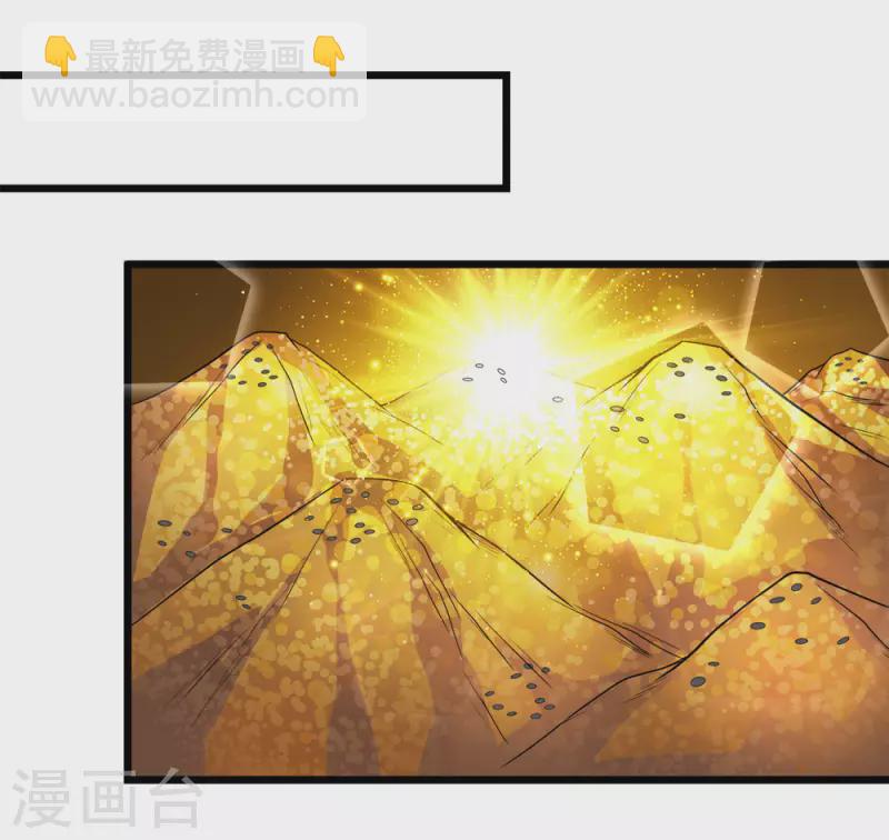 第158话 面纱27