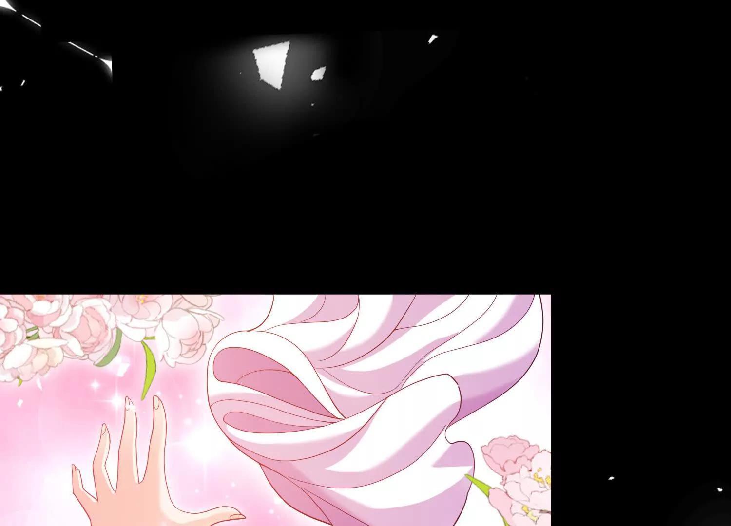 白猫11