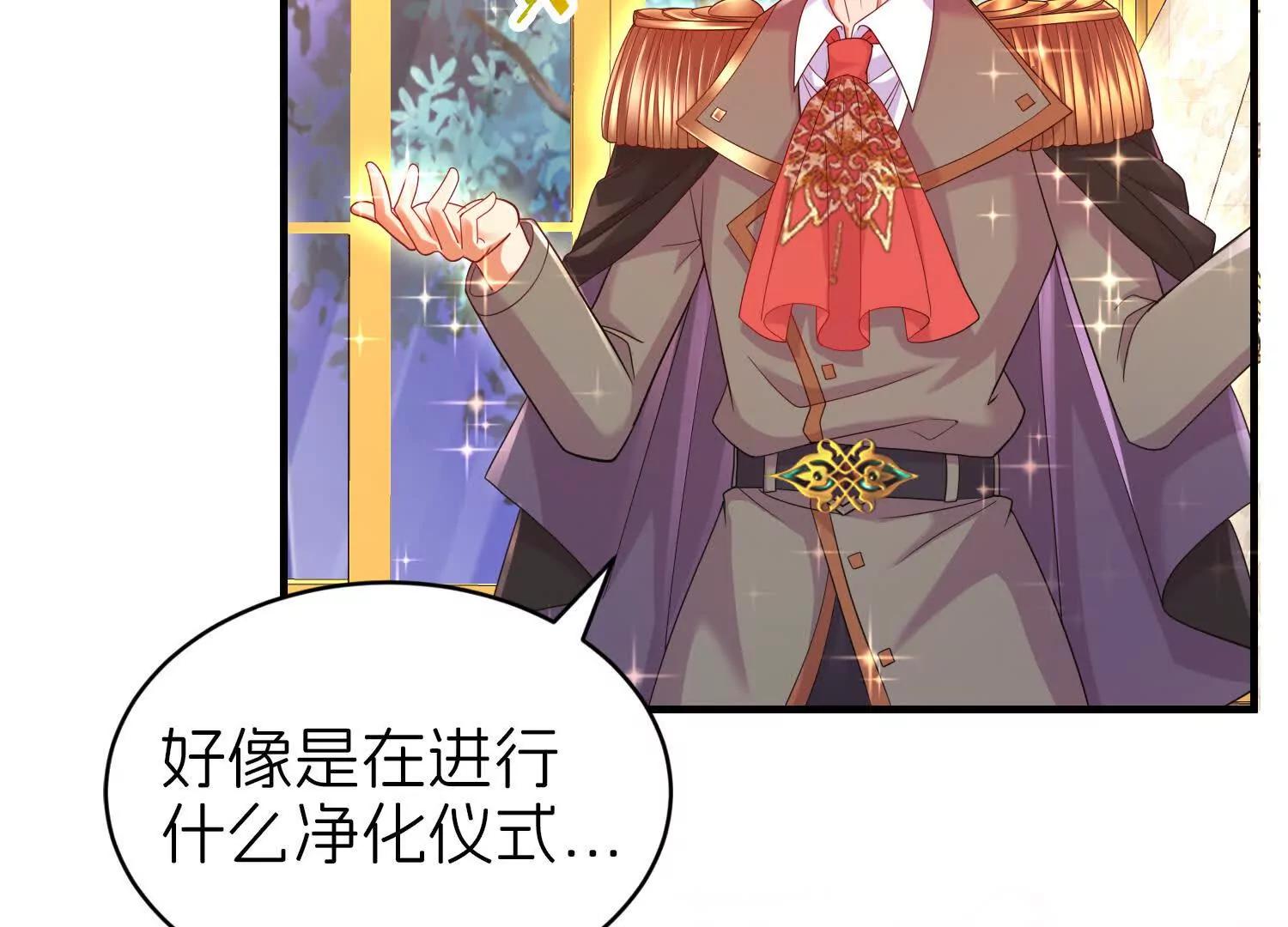 白猫113