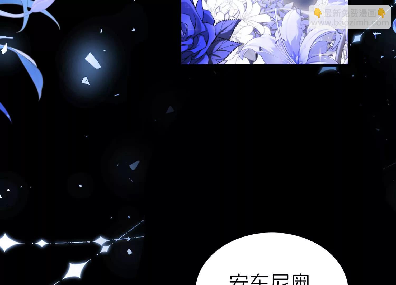 白猫18