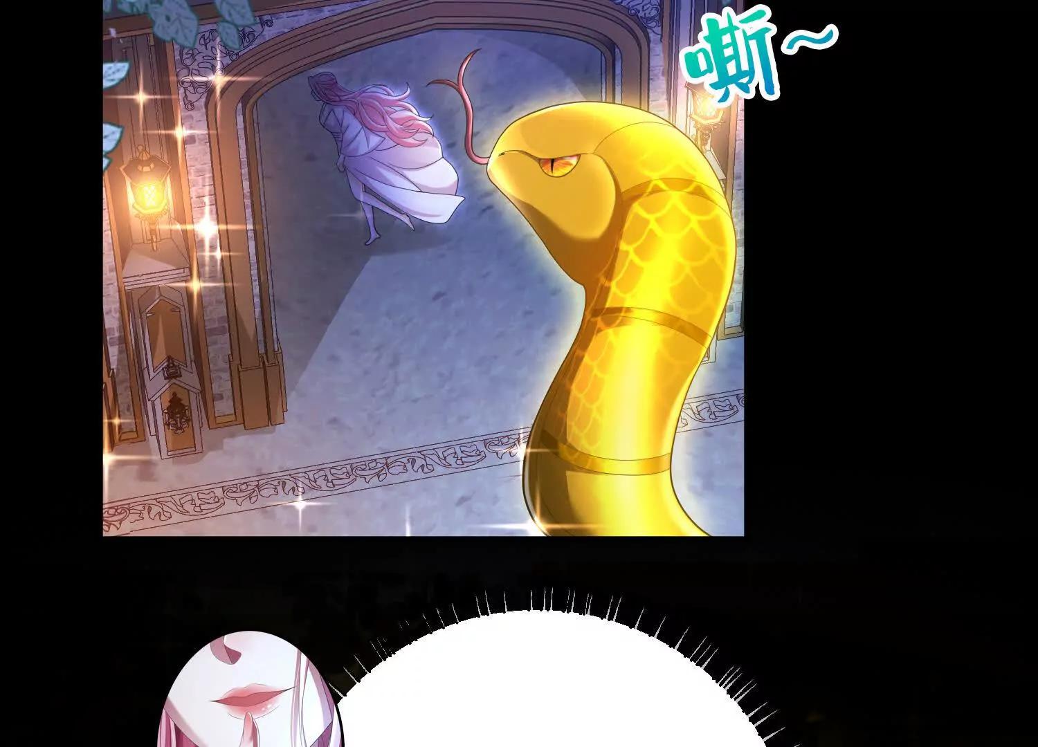 白猫31