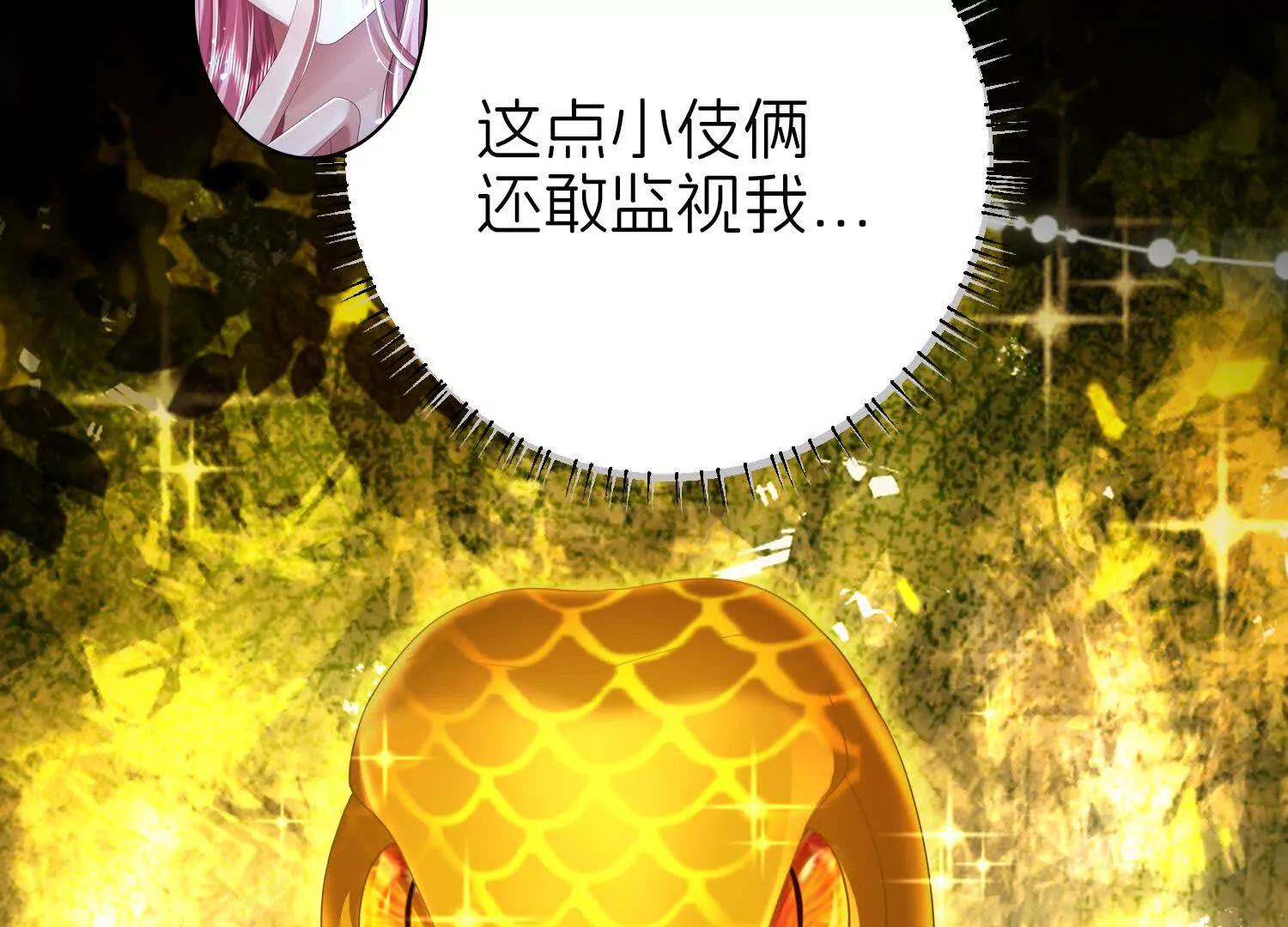 白猫32