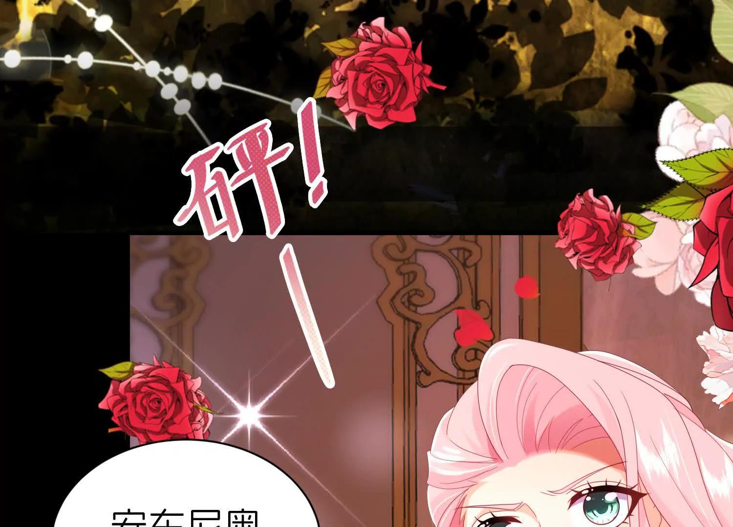 白猫35