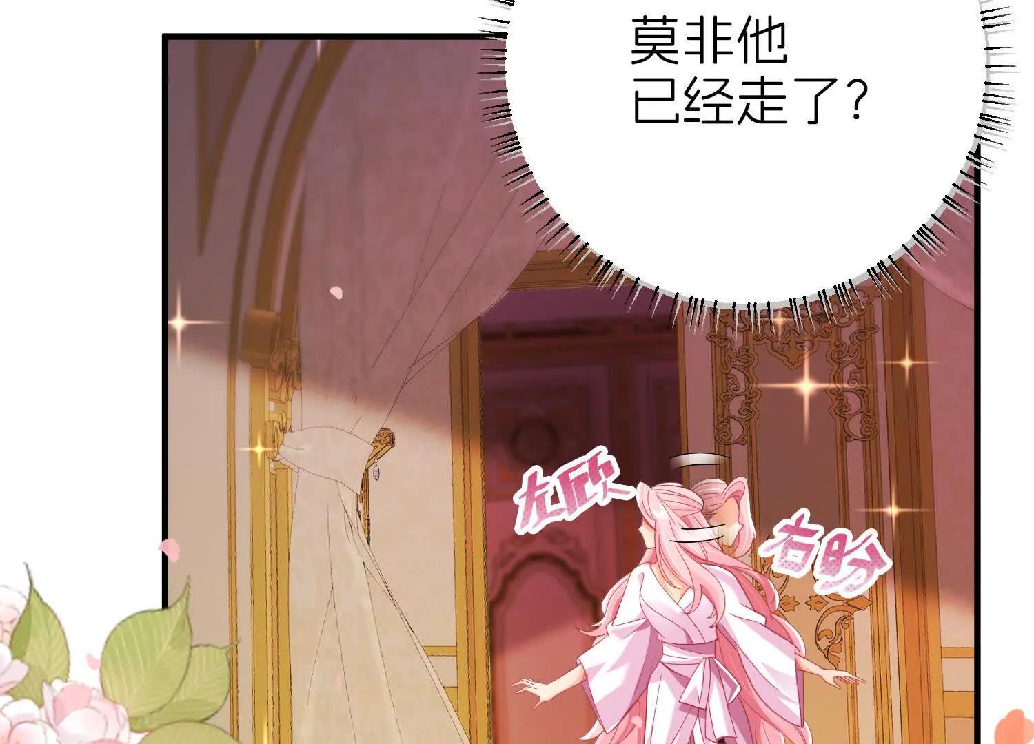 白猫41