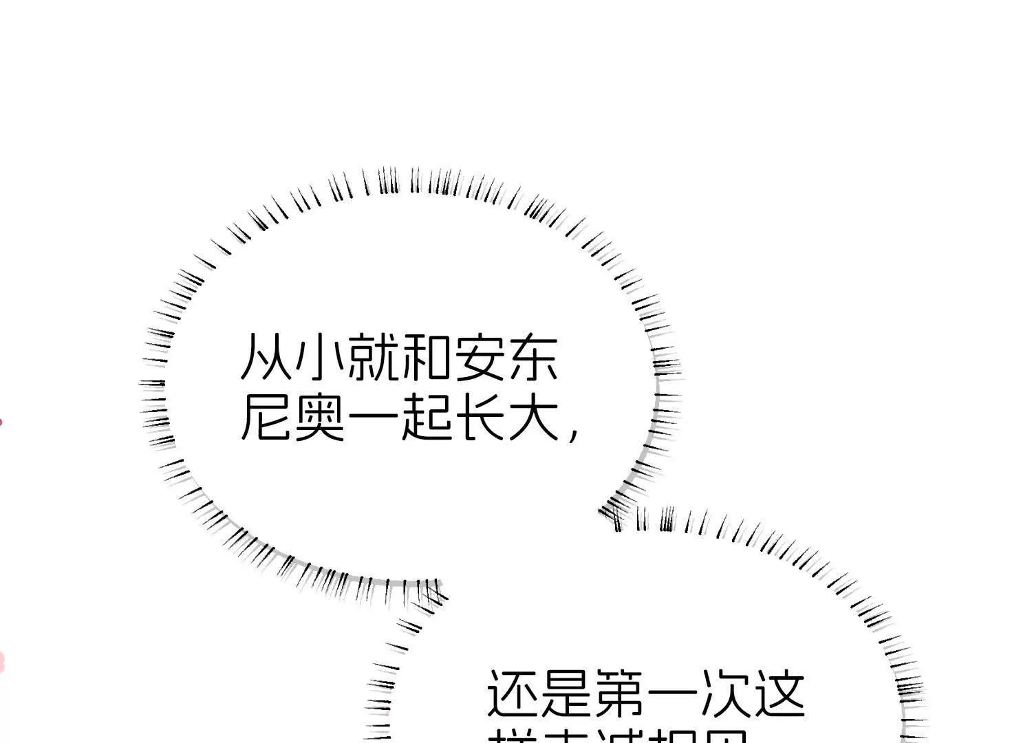 白猫43