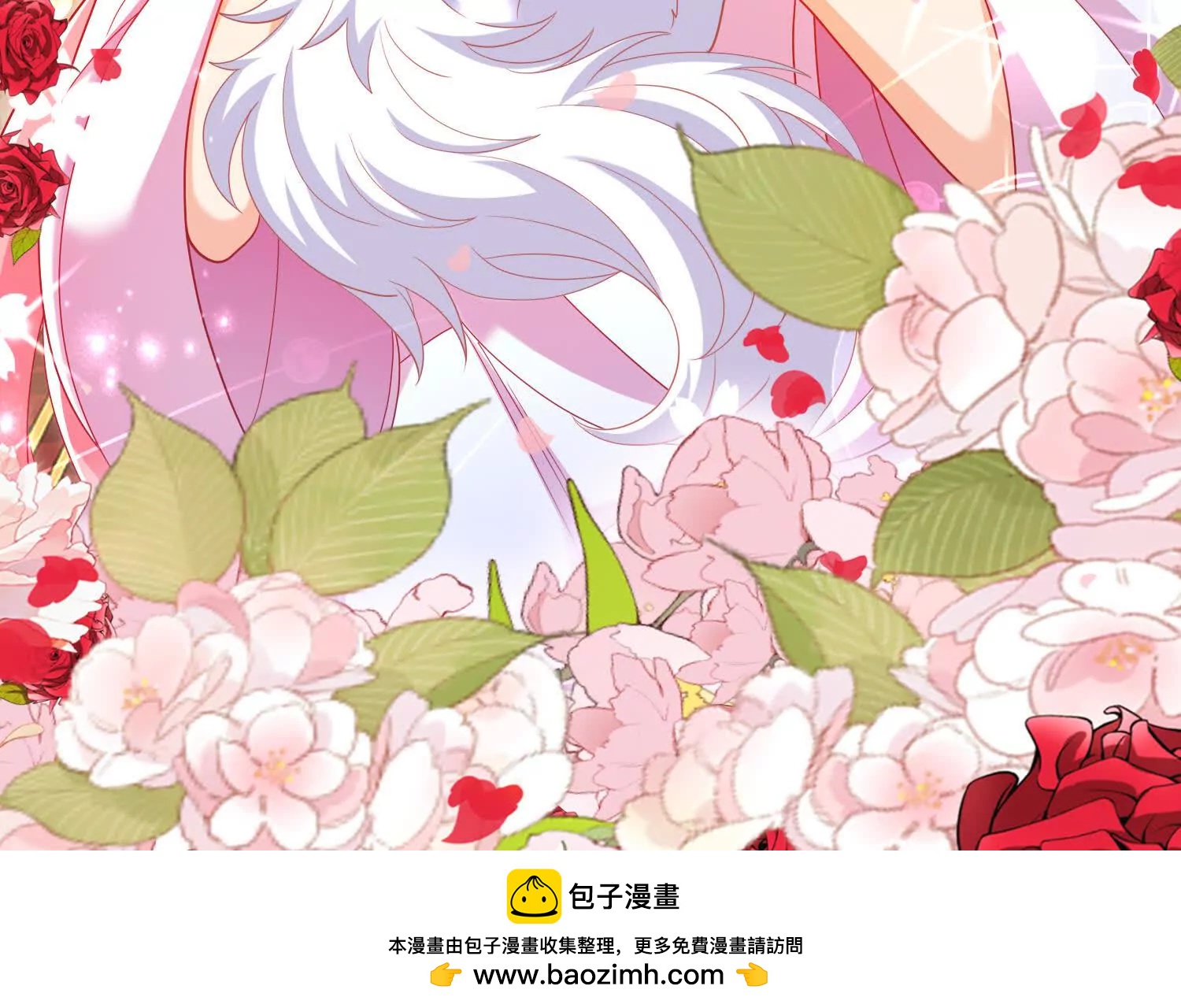 白猫49