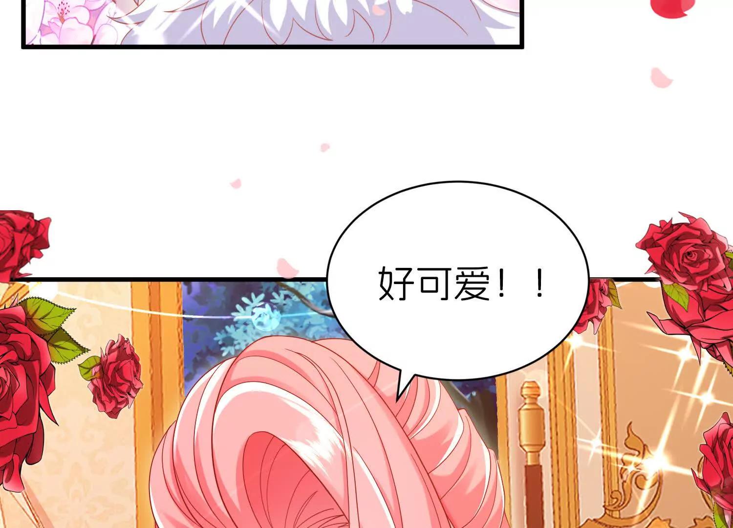 白猫51