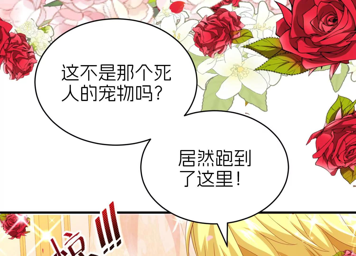 白猫54