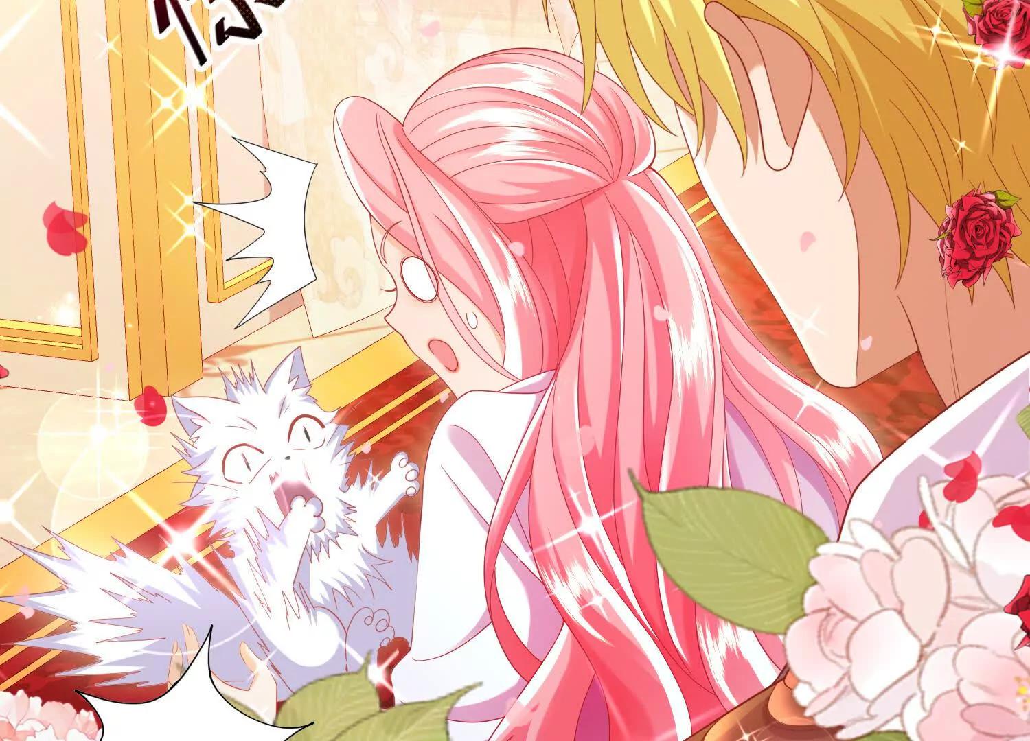 白猫55
