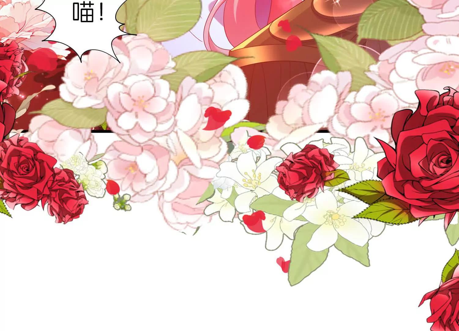 白猫56