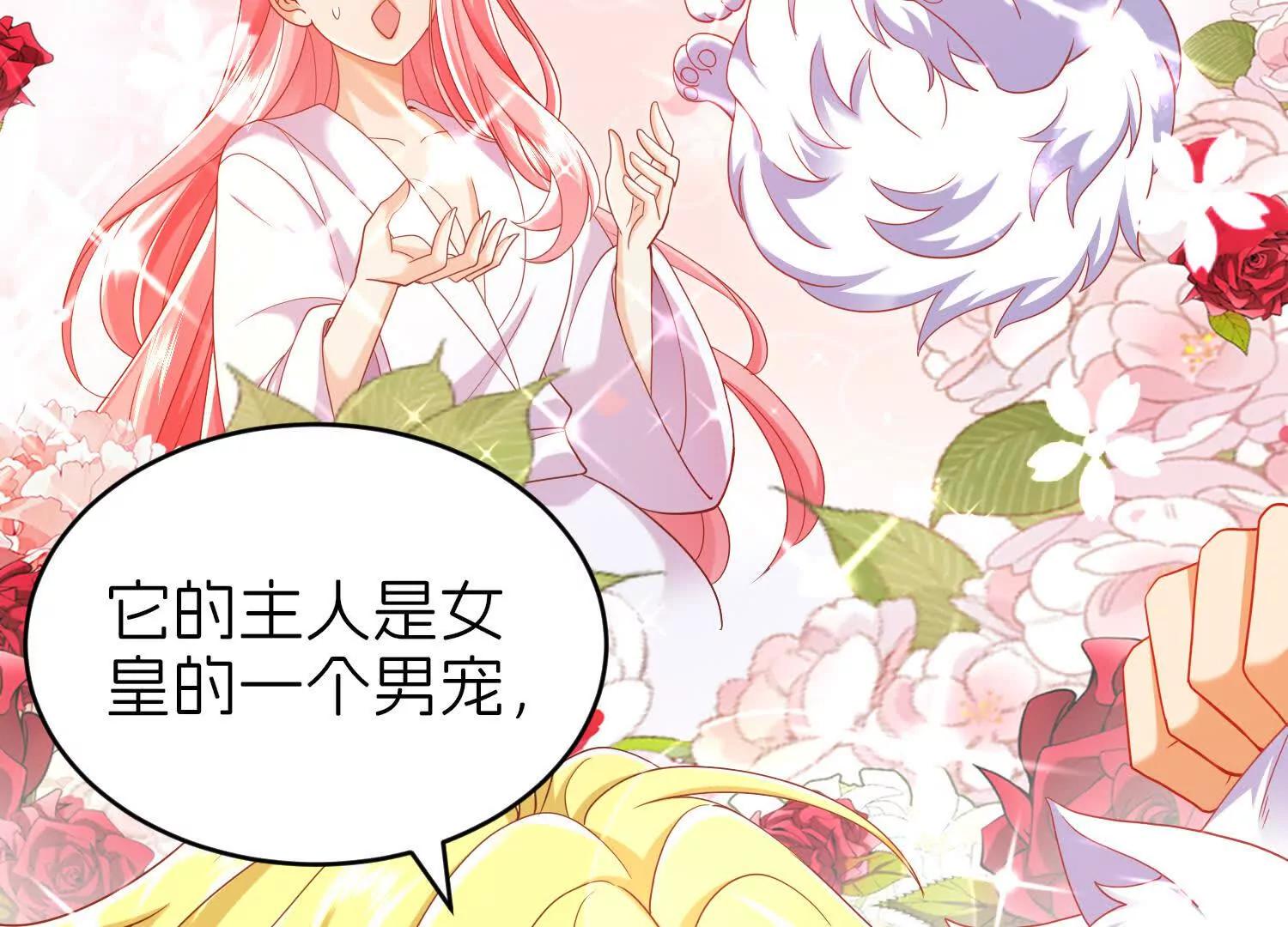 白猫60