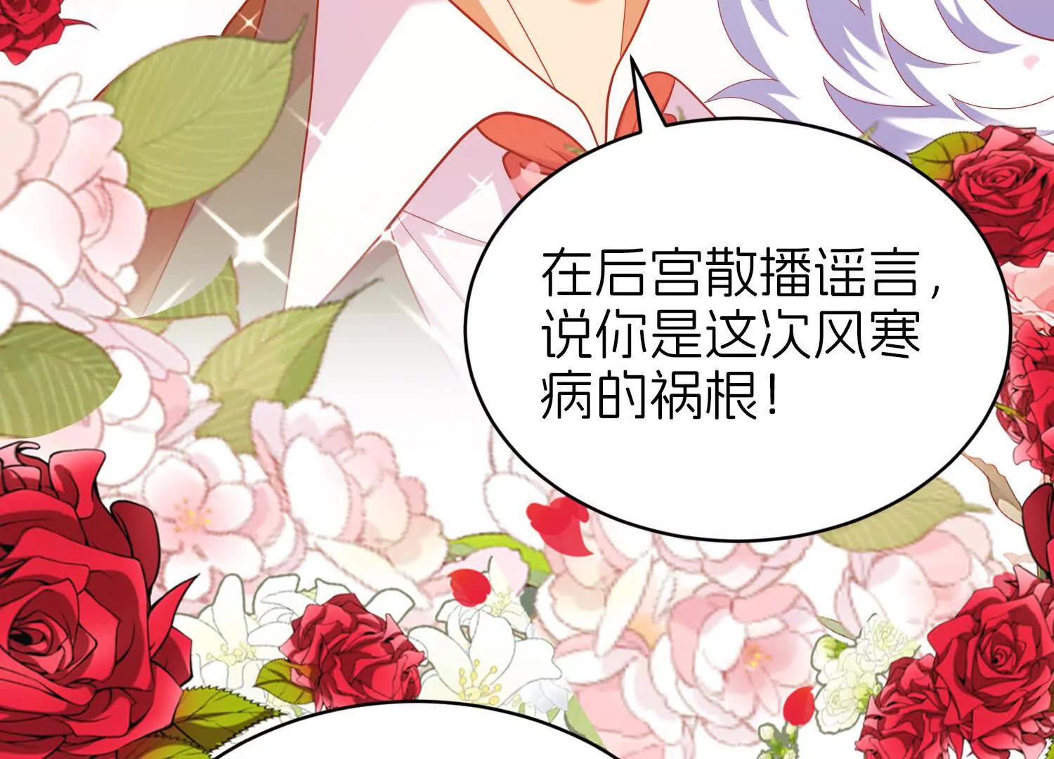 白猫62