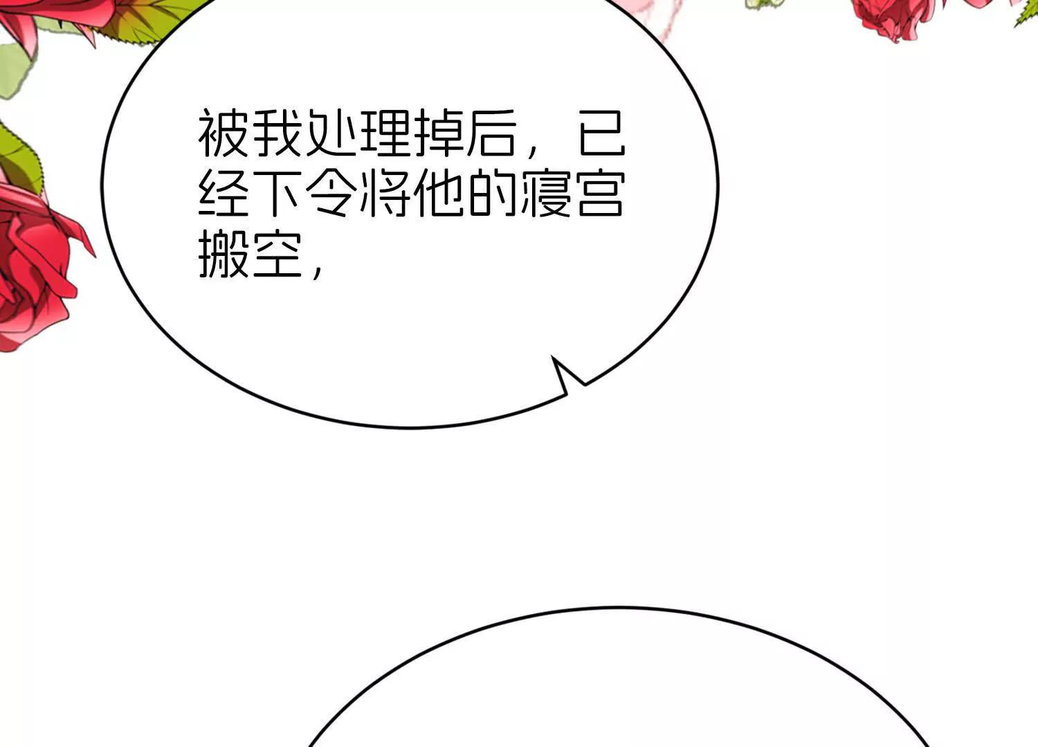 白猫63