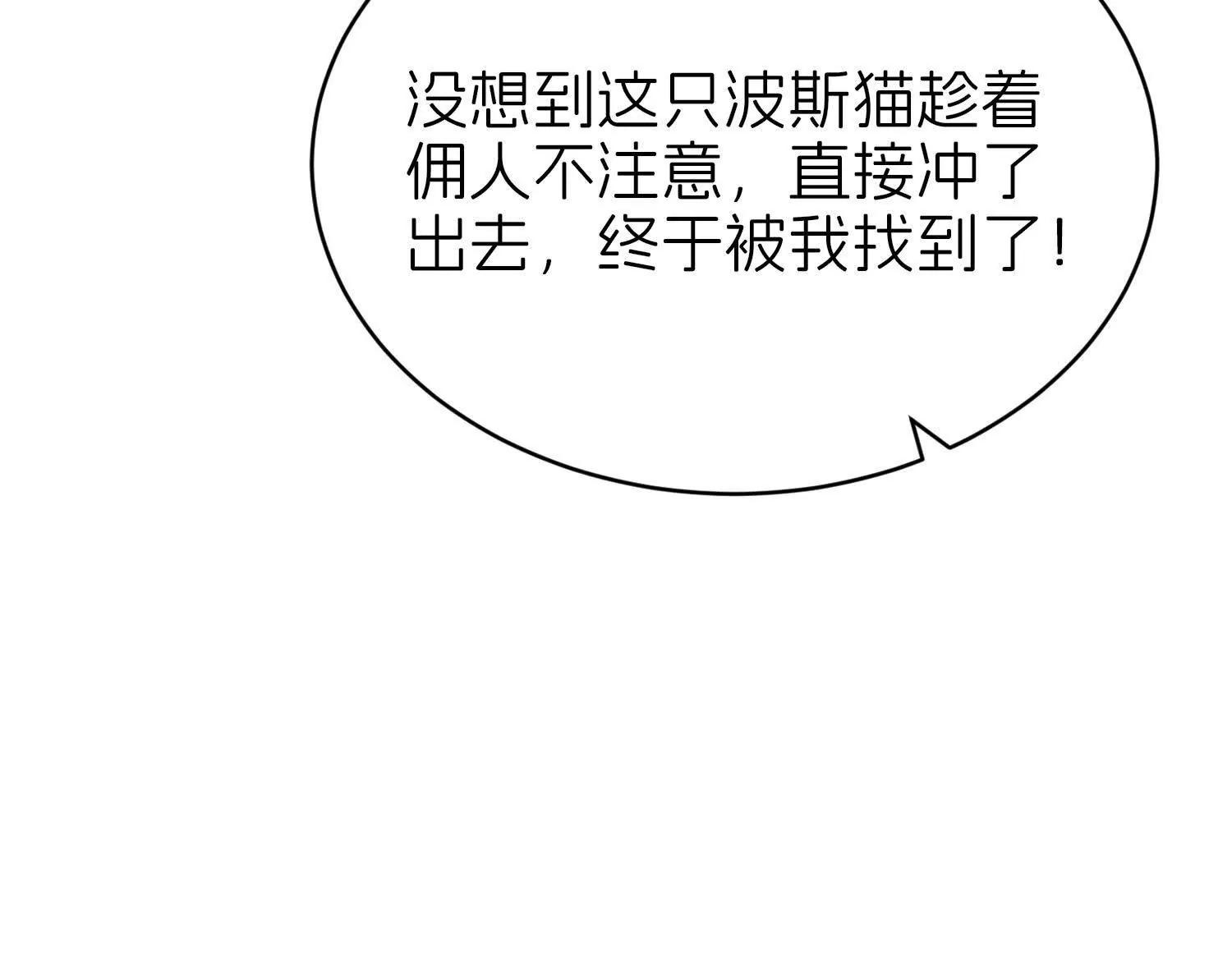 白猫64