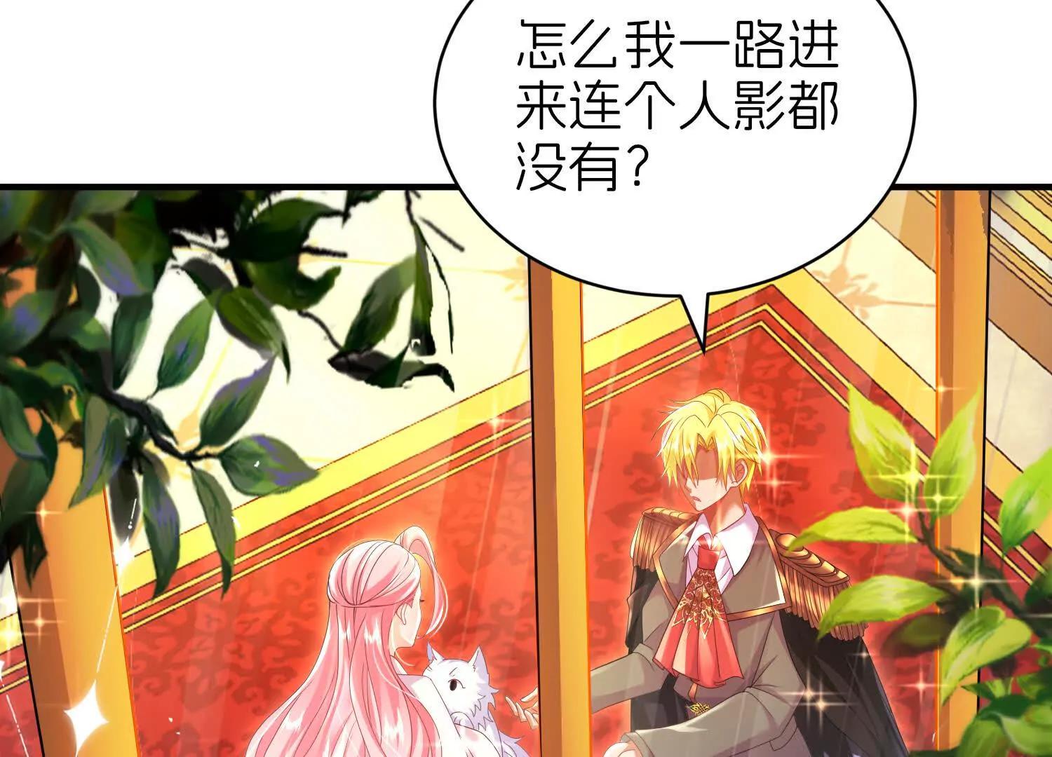 白猫75