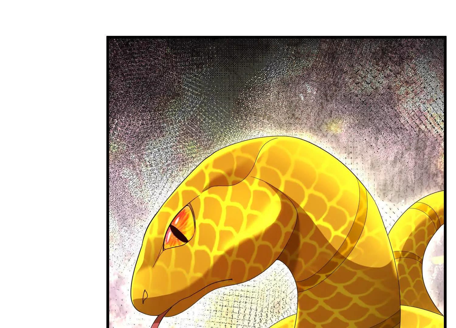 白猫81