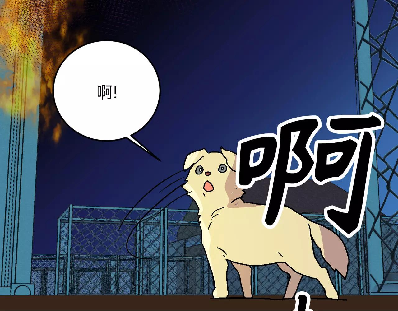 第20话(完结)63