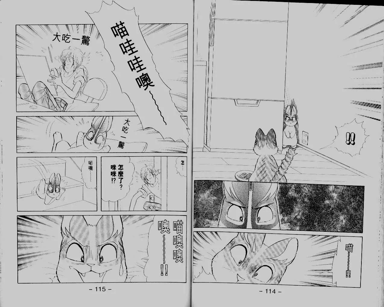 第14卷62