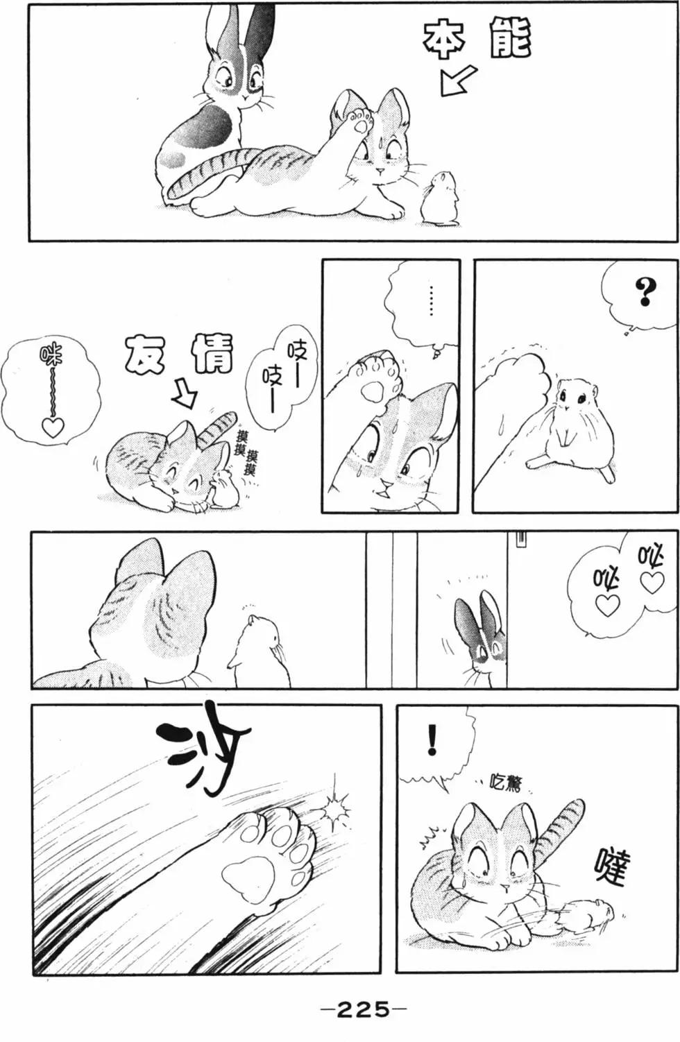 精选集闪亮亮夏之卷243